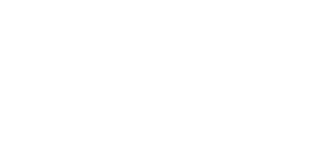 Wise Logo