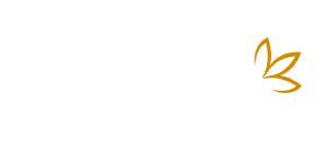 Aniise Logo