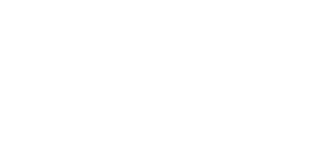 Ankit Toys & Games Logo