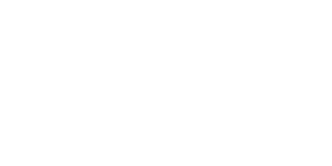 Bluebird Logo
