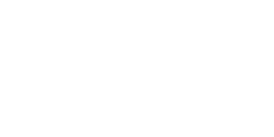 Frontier Logo