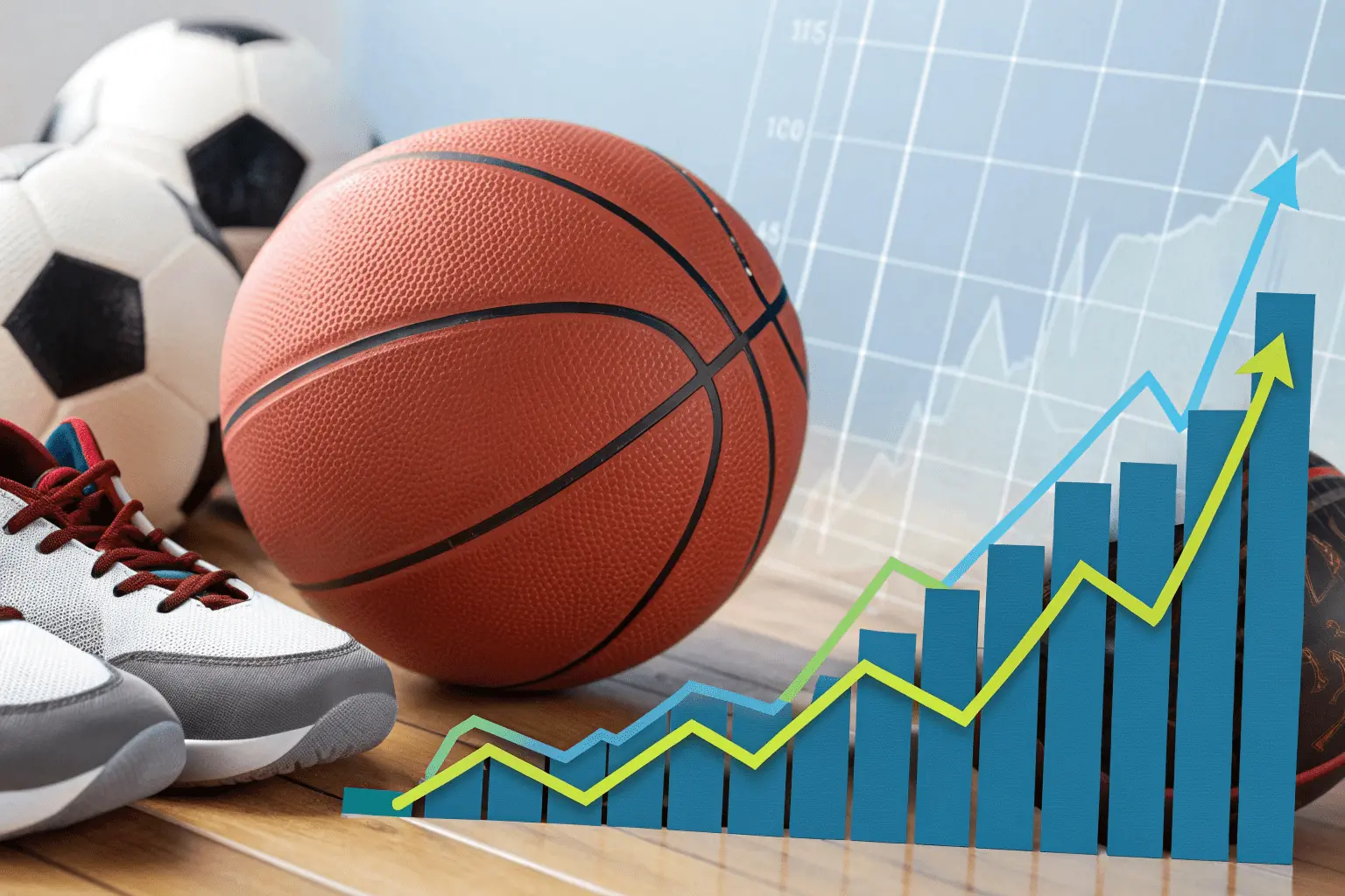 Amazon PPC Case Study - Sports Category